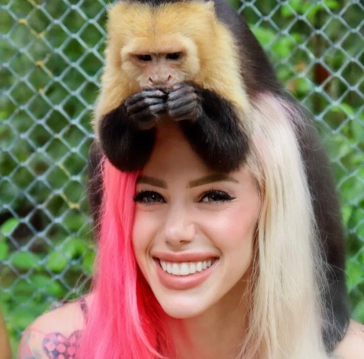 HVLP Success: Thinning Benjamin Moore Advance Paint